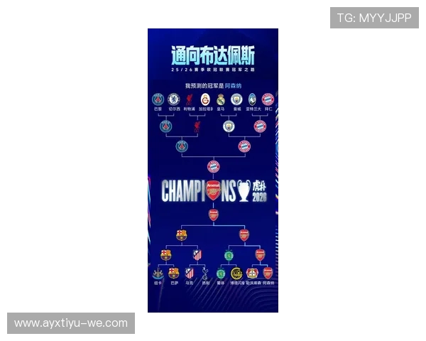 法甲最新赛季全景解析与焦点球队深度观察